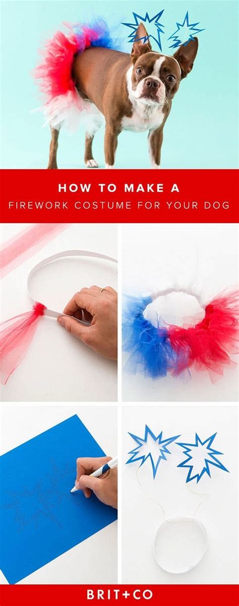 Get Your Pup In The 4th Of July Spirit With A Firework Costume Brit Co