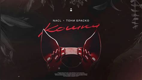 NaCl & Тони Браско - Кошка (Премьера песни, 2021) - YouTube