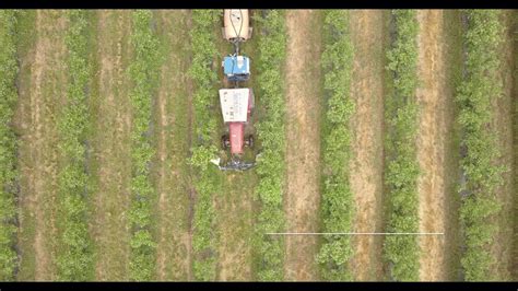 Ecogp Articolata Salidas Agricola Entre Rios Linares Youtube