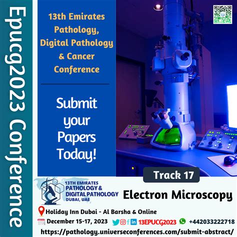 What Is Sem Vs Tem Electron Microscopy By Traviis Stork Oct 2023