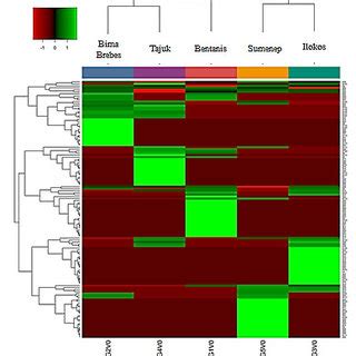 Heatmap Of Hierarchical Clustering Analysis Based On Non Targeted