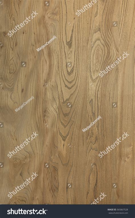 Wood Texture Elm Grain Pattern Veneer Abstract Natural Background