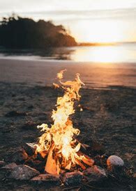 Chapter Playing With Sex Toys In The Car Foxaholic