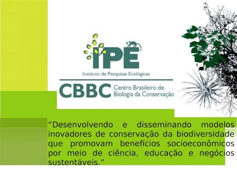 Ppt Desenvolvendo E Disseminando Modelos Inovadores De Conserva O Da