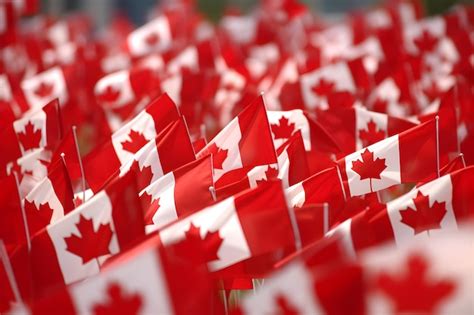 Premium Photo A Bunch Of Canadian Flags Are Lined Up In A Field