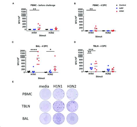 Numbers Of Ifn Spot Forming Cells Sfc In Pbmc A B Bal C And