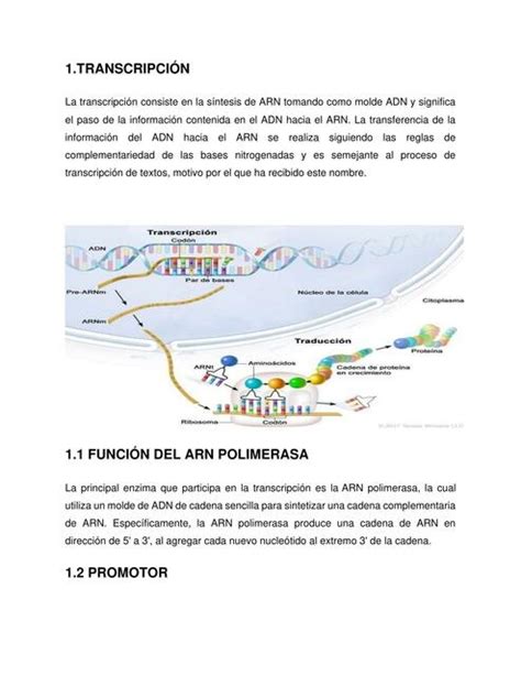 Transcripción Michelle Salvador uDocz