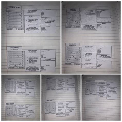 Apes Unit Reading Guide Flashcards Quizlet