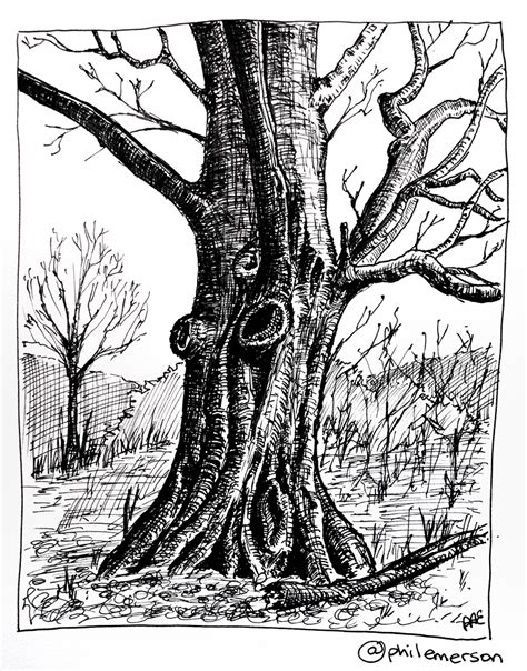 Pen And Ink Tree Drawing at GetDrawings | Free download