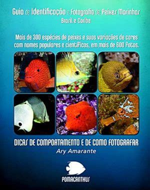 Divevision Livros Revistas Dvds