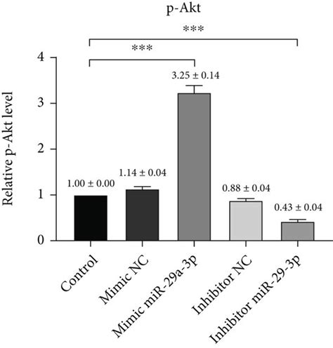 Relative Expression Levels Of Akt P Akt And P Akt Akt A Western