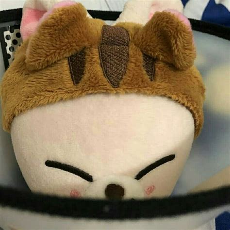 Pin on skzoo | Kids, Han sang, Plushies