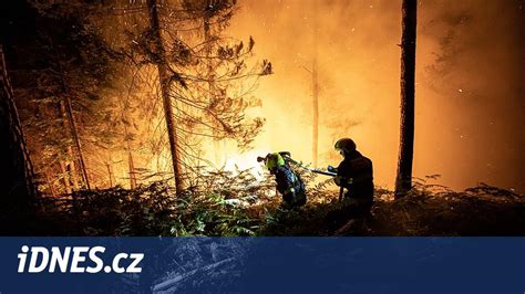 V Echno Bylo Nev Dan L Po R Parku Fotograf Hasi Z Prvn Linie