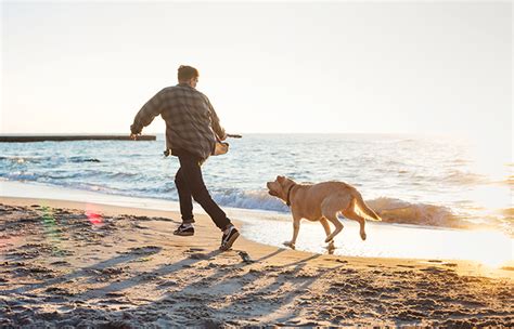 Razones Para Tener Un Perro En Casa