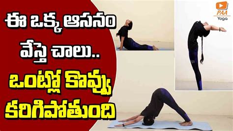 ఈ ఒకక ఆసన వసత చల Step by Step Surya Namaskar Yoga Warm Up