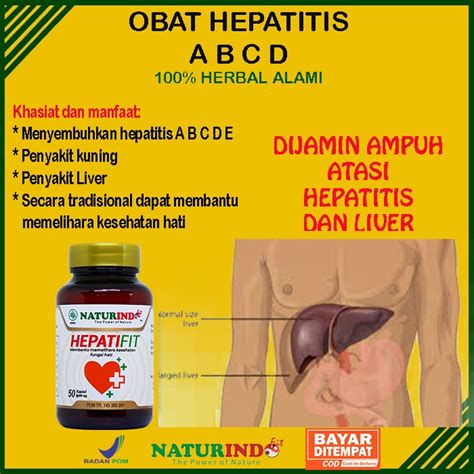 Jual Obat Hepatitis B Ampuh Sembuh Total Kronis Liver Bengkak Sirosis Obat Herbal Sakit Kuning