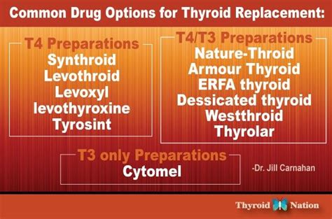 Pin By Bea Rudd On Health Thyroid R Levothyroxine Thyroid