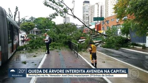 Vídeo Queda de árvore interdita avenida na capital SP1 G1