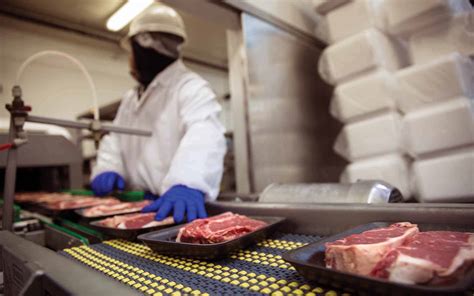 meat factory worker standing next to a facotry conveyor belt with meat ...