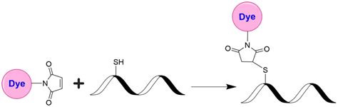 Mfluor™ Red 780 Maleimide Aat Bioquest