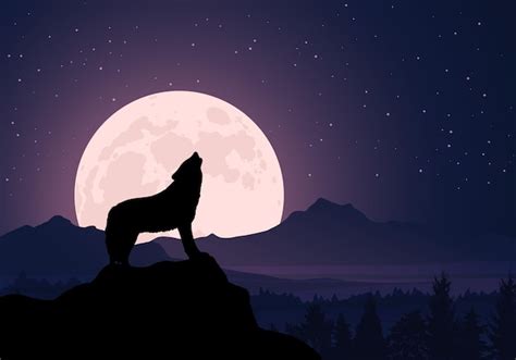 Silhueta De Um Lobo Uivando Para A Lua Noite Estrelada Paisagem