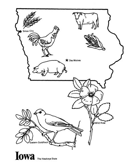 Iowa State Bird Coloring Page Coloring Pages