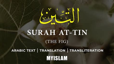 Surah Tin Quran 95 Arabic And English Translation Youtube