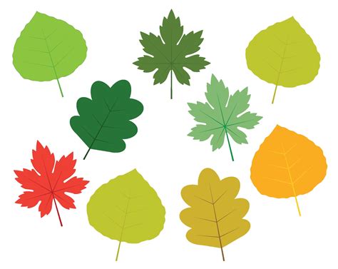 Summer & Autumn Leaves Clipart, Leaves, Autumn Leaves, Clipart Leaves ...