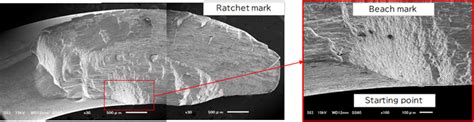 Material Evaluation Center Technology R D J Witex Corporation