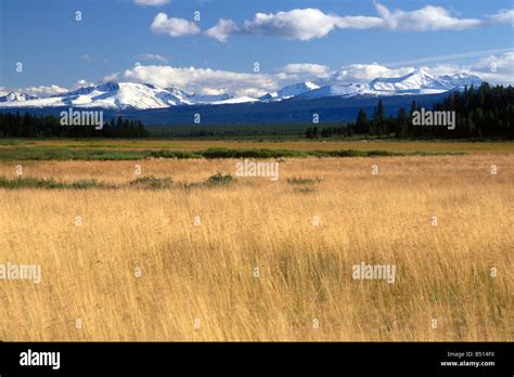 Chilcotin plateau hi-res stock photography and images - Alamy