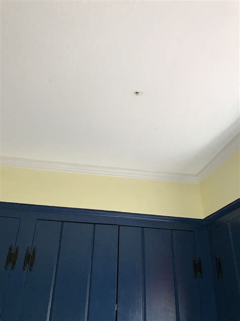 Toilet Leaking Through Ceiling Wallpaper Wiggins