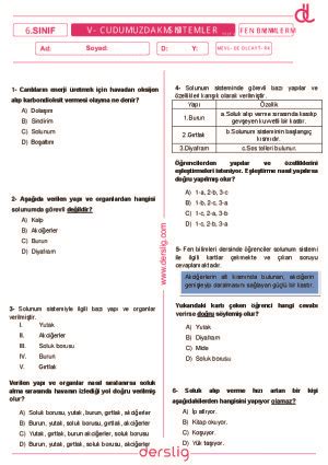 6 Sınıf Fen Bilimleri Vücudumuzdaki Sistemler Test 4 Yaprak Test Derslig