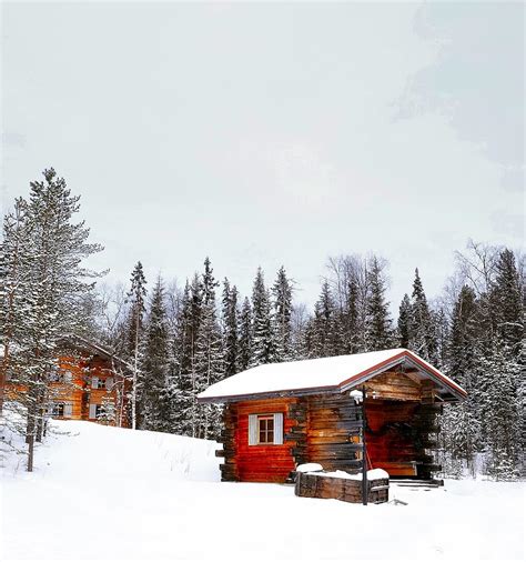 Winter Snow Forest Trees Woods Cloudy Log Cabin House Shed