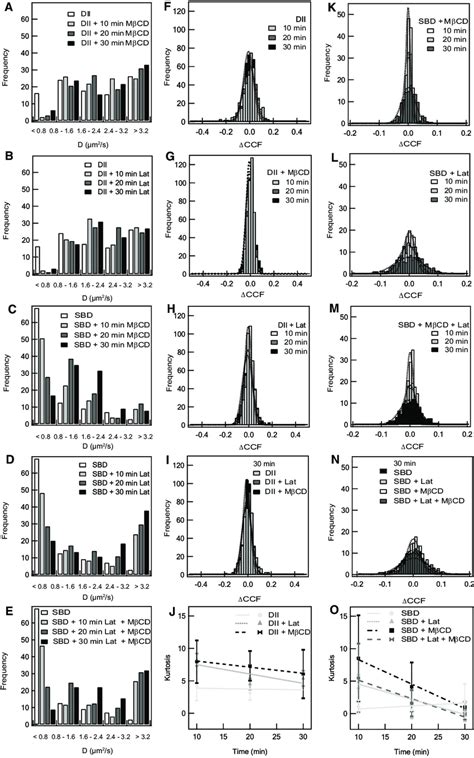 Effect Of MbCD And Latrunculin A Treatment On The Diffusion Coefficient