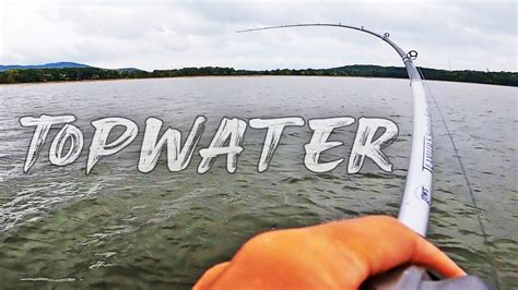 Fishing For Fall Bass With Topwater Lake Guntersville Youtube