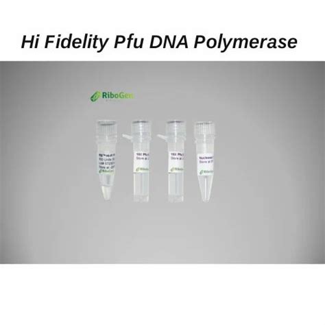 Ribogen Hi Fidelity Pfu Dna Polymerase At Rs 5500 In Salem Id 2852123409988