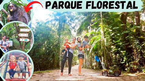 PARQUE ECOLOGICO DO CORREGO GRANDE Onde levar crianças em Floripa