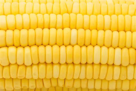 Best White Corn Stock Photos Pictures And Royalty Free Images Istock