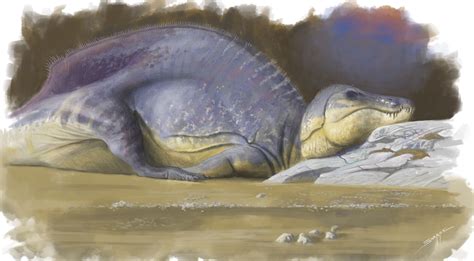 Ichthyovenator