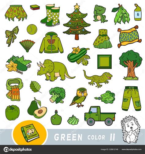 Colorful Set Of Green Color Objects Visual Dictionary For Children