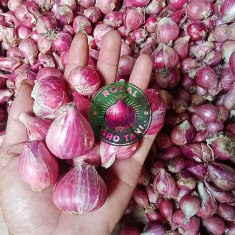 Bawang Merah Lokal Super Lazada Indonesia