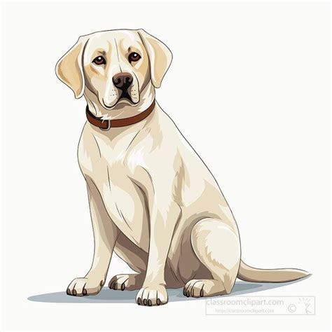 Dog Clipart Friendly Labrador Retriever Dog With Collar Clip Art