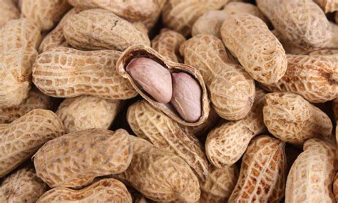 National Peanut Month Florida Center For Allergy And Asthma Care