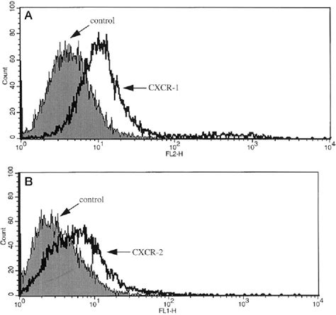 Figure From Chemokine Receptors Cxcr Activate Mitogen Activated