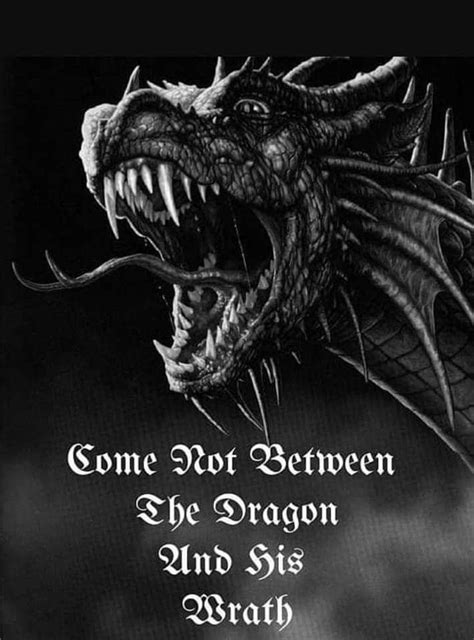 Pin By Sue On Dragons Dragon Quotes Dragon Dreaming Dragon Pictures