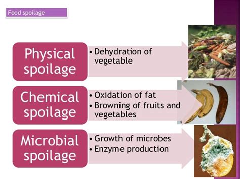 Lecture 1 Mic204