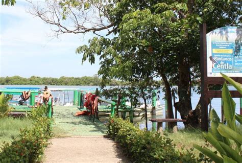 Pantanos De Centla El Insuperable Destino En Tabasco Para Los Más Aventureros Infobae