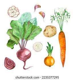 Vegetables Set Watercolor Vegetables On White Stock Illustration