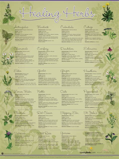 Printable Herb Chart