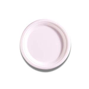 Bioway Sugar Cane Plate Plate Inch Round Ifresh Corporate Pantry